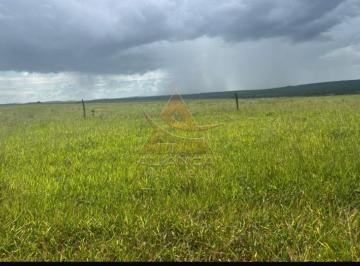 Imagem 1 · Fazenda para venda em Centro, Prata