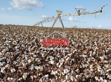 Imagem 1 · Fazenda para venda em Centro, Paranapanema