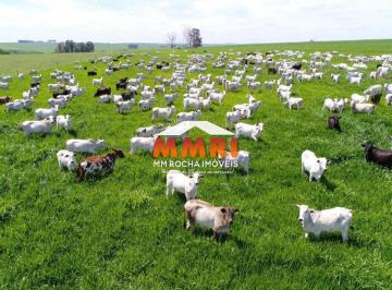 Imagem 1 · Fazenda para venda em Centro, Araçoiaba da Serra