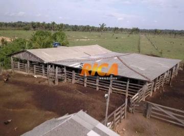Imagem 3 · Fazenda para venda em Área Rural de Porto Velho, Porto Velho