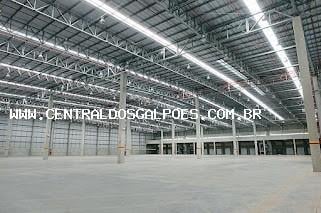 Imagem 1 · Depósito-Galpão-Armazém para aluguel em Vila Santa Cruz, Duq