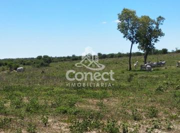 Imagem 1 · Fazenda para venda em Centro, Santa Rita de Cássia