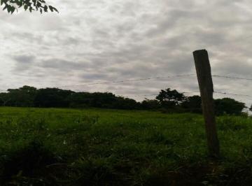 Imagem 1 · Sítio para venda em Ilicínea