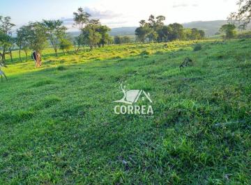 Imagem 2 · Sítio para venda em Centro, Itapetininga