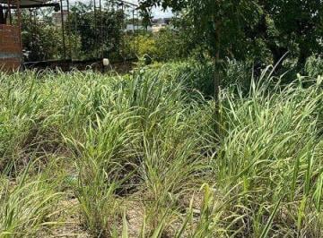 Imagem 1 · Terreno para venda em Parque Residencial Tropical ville, Cui