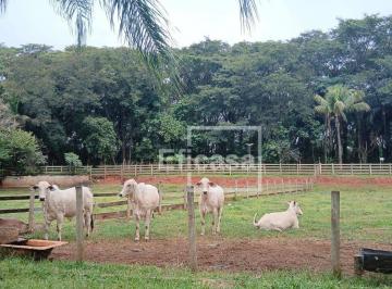 Imagem 1 · Sítio para venda em Estância São Judas Tadeu (Zona Rural), S