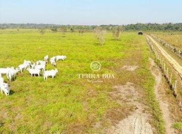 Imagem 1 · Fazenda para venda em Igarapé, Porto Velho