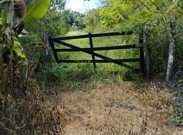 Imagem 1 · Sítio para venda em Centro, Brazópolis