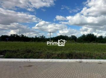 Imagem 1 · Terreno para venda em Santa Cruz, Linhares