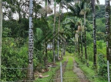 Imagem 1 · Sítio para venda em Centro, Itanhaém
