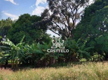 Imagem 1 · Sítio para venda em Ibiporã