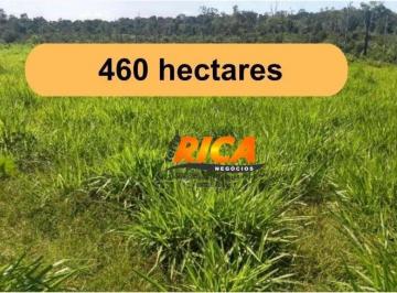 Imagem 1 · Fazenda para venda em Área Rural de Porto Velho, Porto Velho