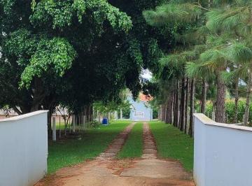 Imagem 1 · Sítio para venda em Centro/Gramadinho, Itapetininga