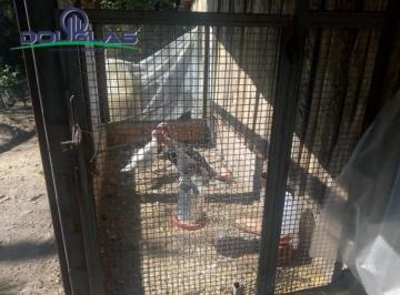 Imagem 1 · Sítio para venda em Sitio São José, Viamão