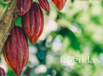 Imagem 1 · Fazenda para venda em Centro, Itamari