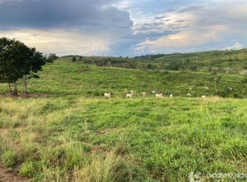 Imagem 1 · Fazenda para venda em Uberlândia
