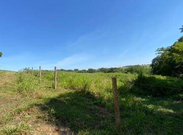 Imagem 1 · Sítio para venda em Vila Euclides, Presidente Prudente