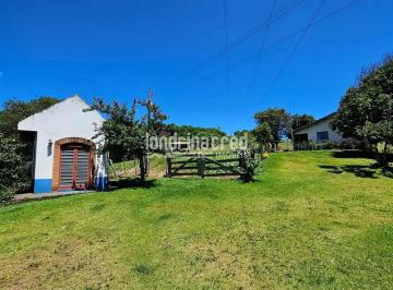 Imagem 1 · Sítio para venda em Caramuru, Cambé