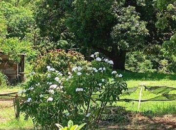 Imagem 1 · Sítio para venda em Marialva