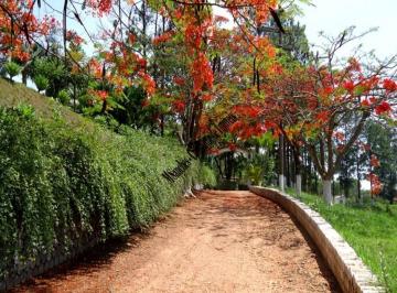 Imagem 1 · Sítio para venda em Varejão, Itu