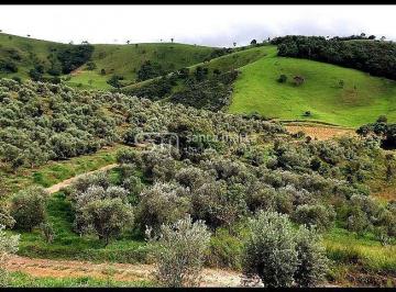Imagem 1 · Sítio para venda em Área Rural de Lorena, Lorena