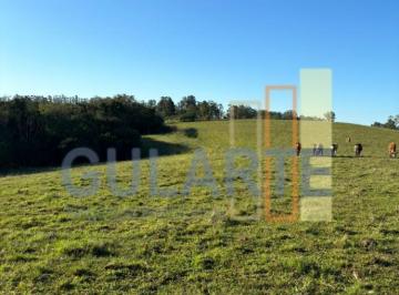 Imagem 1 · Fazenda para venda em Centro, Triunfo