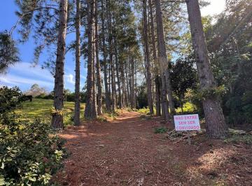 Imagem 1 · Chácara para venda em João Alves, Santa Cruz do Sul