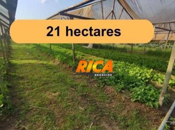 Imagem 1 · Sítio para venda em Área Rural de Porto Velho, Porto Velho