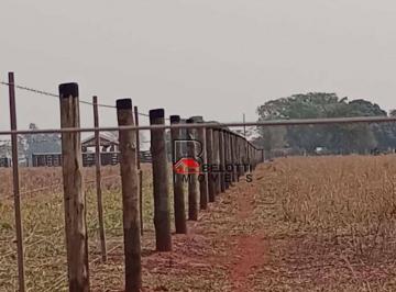 Imagem 1 · Sítio para venda em Pereira Barreto