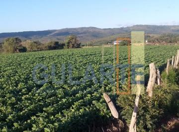 Imagem 1 · Fazenda para venda em Centro, São Jerônimo