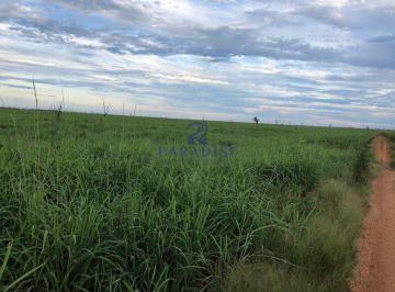 Imagem 1 · Fazenda para venda em Centro, Santa Rita de Cássia