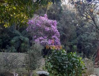 Imagem 1 · Chácara para venda em Pirucaia, Mairiporã