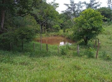 Imagem 1 · Sítio para venda em Guaratinguetá