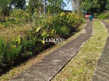 Imagem 1 · Sítio para venda em Centro, Osório