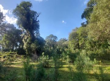 Imagem 1 · Sítio para venda em Centro, São Francisco de Paula