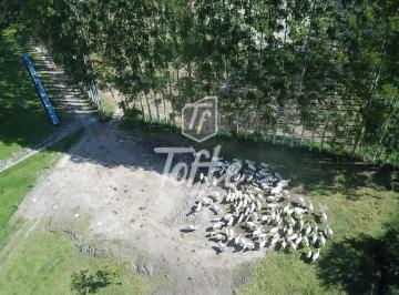 Imagem 1 · Fazenda para venda em Área Rural de Guaratinguetá, Guarating