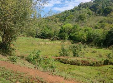 Imagem 1 · Sítio para venda em Centro, Paraisópolis