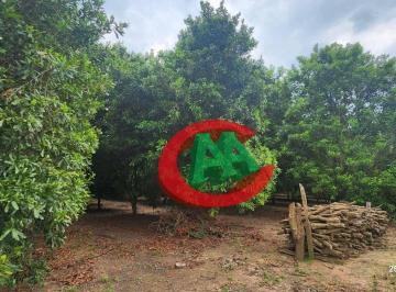 Imagem 1 · Sítio para venda em Pimenta, Indaiatuba
