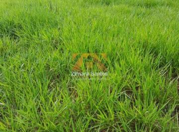 Imagem 1 · Fazenda para venda em Centro, Piçarra