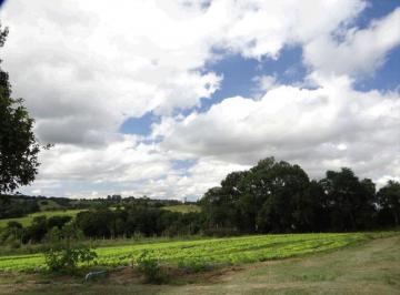 Imagem 1 · Sítio para venda em Centro, Araçoiaba da Serra