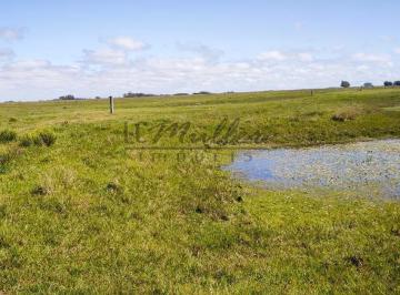 Imagem 1 · Fazenda para venda em Rio Grande