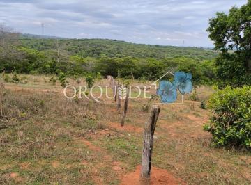 Imagem 1 · Fazenda para venda em Área Rural de Mineiros, Mineiros