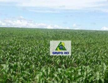 Imagem 1 · Fazenda para venda em Centro, Ribeirão Cascalheira
