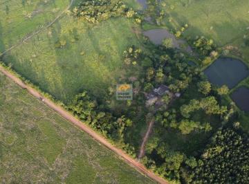 Imagem 1 · Sítio para venda em Ji-Paraná