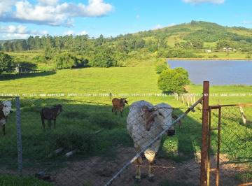 Imagem 1 · Sítio para venda em Centro, Mariana Pimentel