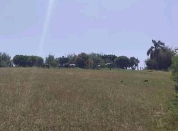 Imagem 1 · Chácara para venda em Tancredo Neves, Santa Maria