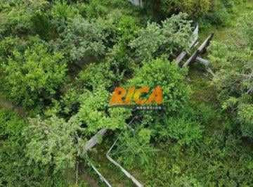 Imagem 1 · Fazenda para venda em Guajará-Mirim