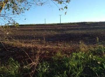 Imagem 1 · Sítio para venda em Mandaguaçu