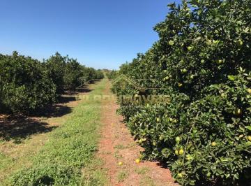 Imagem 1 · Fazenda para venda em Centro, Águas de Santa Bárbara