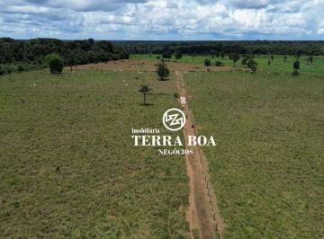 Imagem 1 · Sítio para venda em Igarapé, Porto Velho